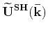 $\displaystyle \mathbf{a^{SV}}(\mathbf{\bar{k}})[\mathbf{a^{SV}}(\mathbf{\bar{k}})\cdot\mathbf{\widetilde{U}}(\mathbf{\bar{k}})]~,$