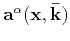 $\displaystyle \mathbf{\widetilde{U}^{\alpha}}(\mathbf{\bar{k}}) = \mathbf{a}^{\...
...a}^{\alpha}(\mathbf{x},\mathbf{\bar{k}})\cdot\mathbf{\widetilde{U}(\bar{k})}]~,$