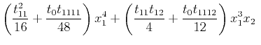 $\displaystyle \left( \frac{t^2_{11}}{16} + \frac{t_0t_{1111}}{48}\right)x^4_1 + \left( \frac{t_{11}t_{12}}{4} + \frac{t_0t_{1112}}{12}\right)x^3_1 x_2 ~$
