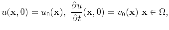 $\displaystyle u({\bf x},0) = u_0({\bf x}),  \frac{\partial u}{\partial t}({\bf x},0) =
v_0({\bf x})   {\bf x}\in \Omega,
$