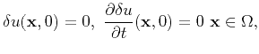 $\displaystyle \delta u({\bf x},0) = 0,  \frac{\partial \delta u}{\partial t}({\bf x},0) =
0   {\bf x}\in \Omega,
$